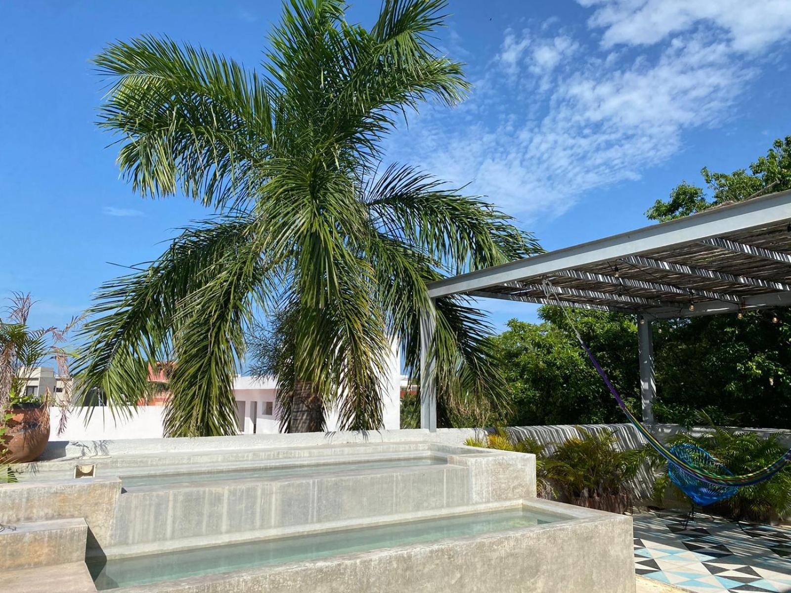 Studios Downtown Cancún Exteriér fotografie
