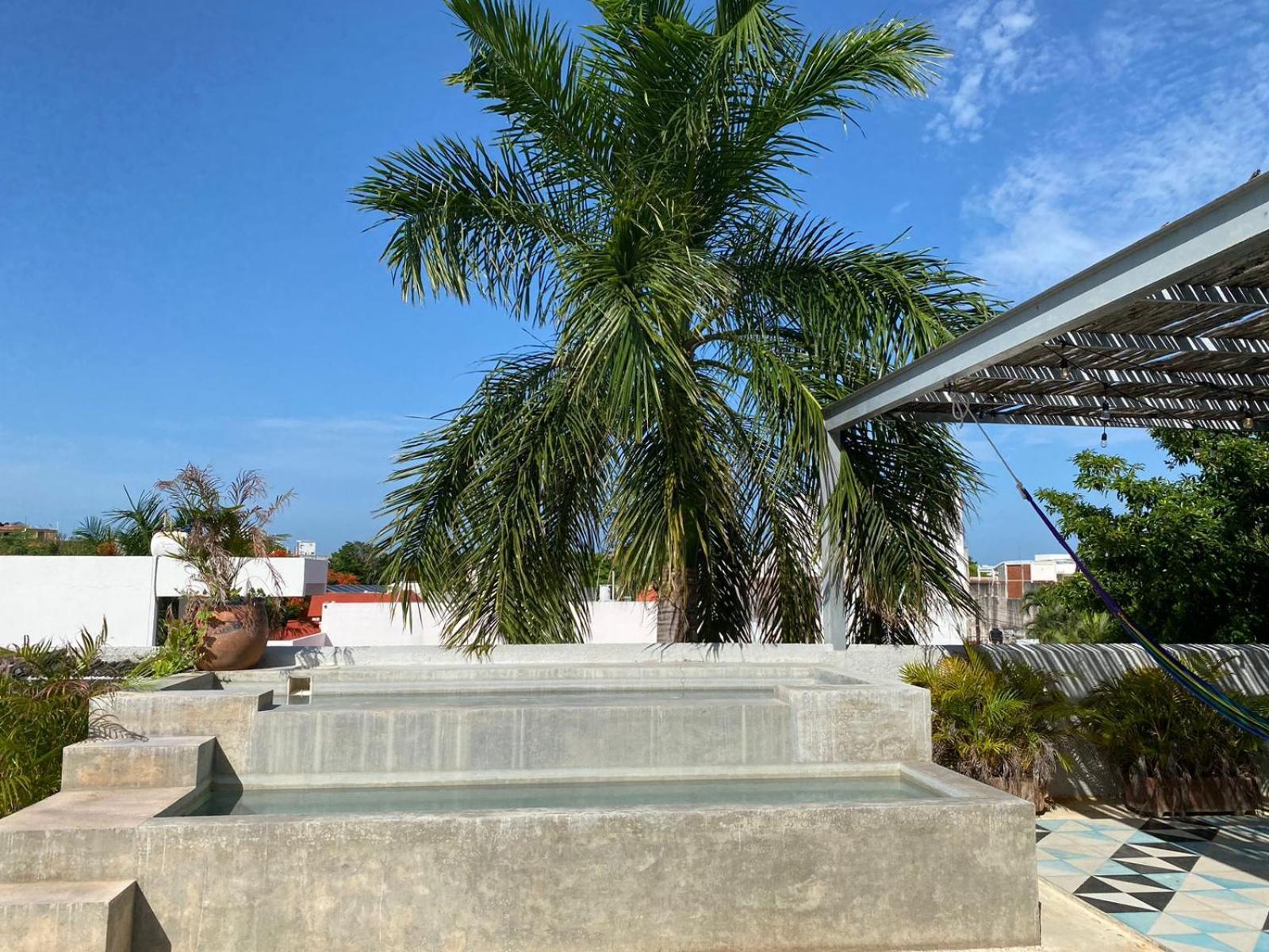 Studios Downtown Cancún Exteriér fotografie